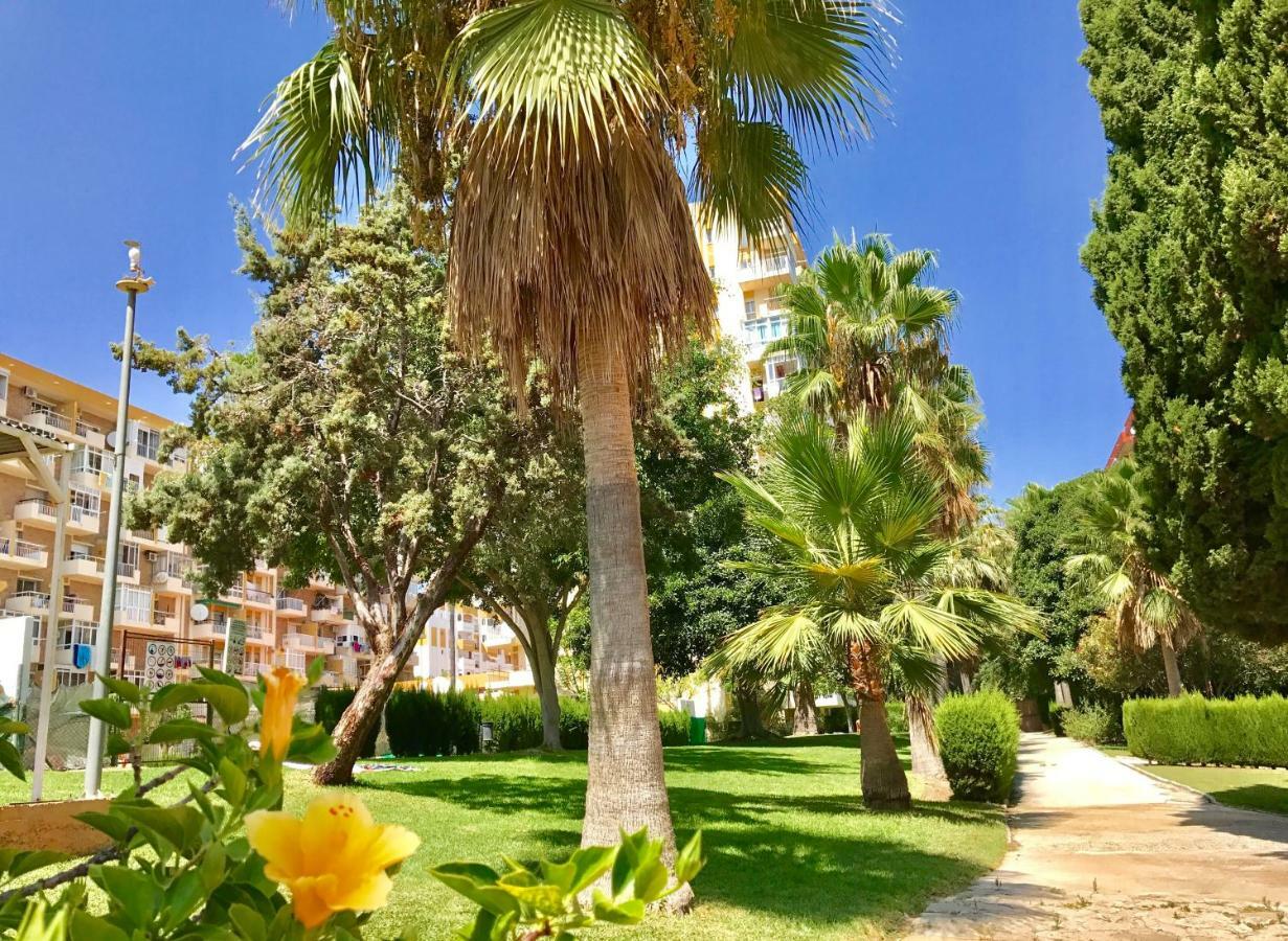 Edificio Hercules ベナルマデナ エクステリア 写真